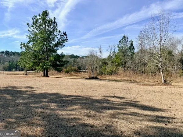 a view of large trees with a yard