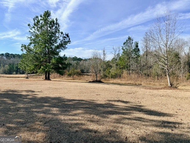 1431 Community Road Glennville, GA 30427 - Photo 38 of 42