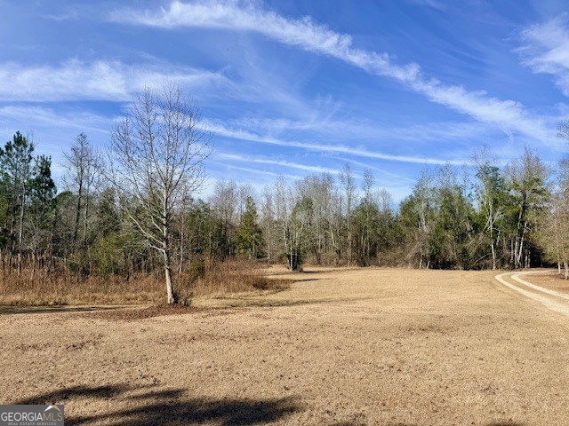 1431 Community Road Glennville, GA 30427 - Photo 39 of 42