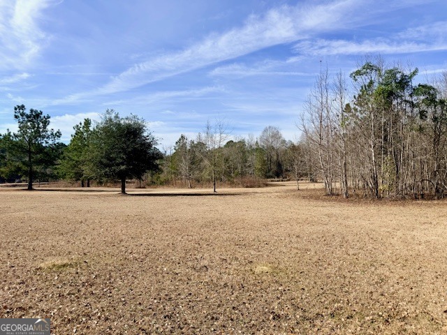 1431 Community Road Glennville, GA 30427 - Photo 40 of 42