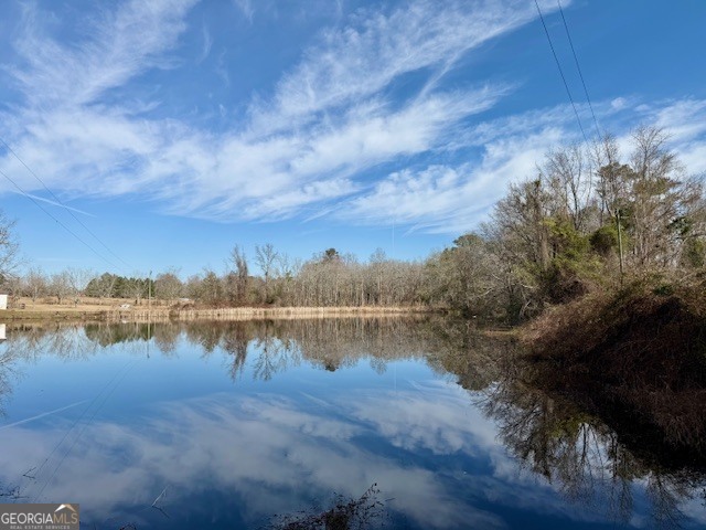 1431 Community Road Glennville, GA 30427 - Photo 4 of 42