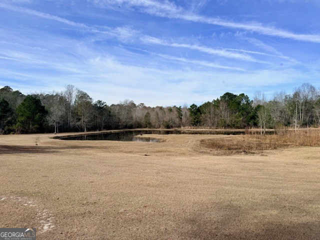 1431 Community Road Glennville, GA 30427 - Photo 5 of 42