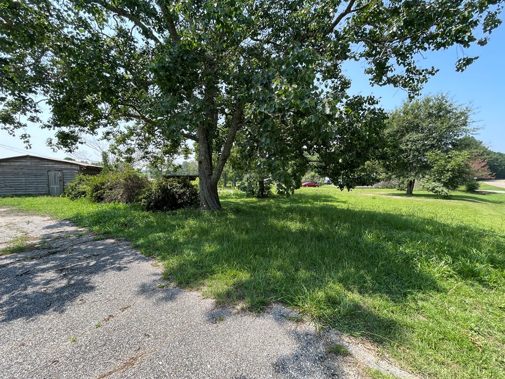 2155 Ben Ivey Road Webb, AL 36376 - Photo 22 of 26