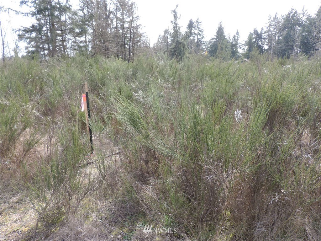 -xxx Grand Mound Way Southwest Rochester, WA 98579 - Photo 1 of 7