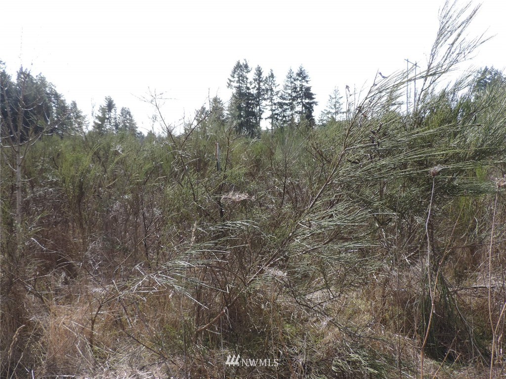 -xxx Grand Mound Way Southwest Rochester, WA 98579 - Photo 2 of 7