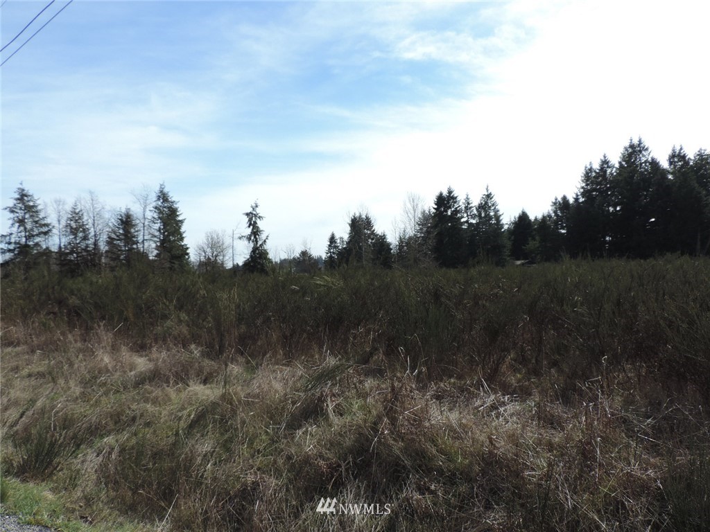 -xxx Grand Mound Way Southwest Rochester, WA 98579 - Photo 3 of 7
