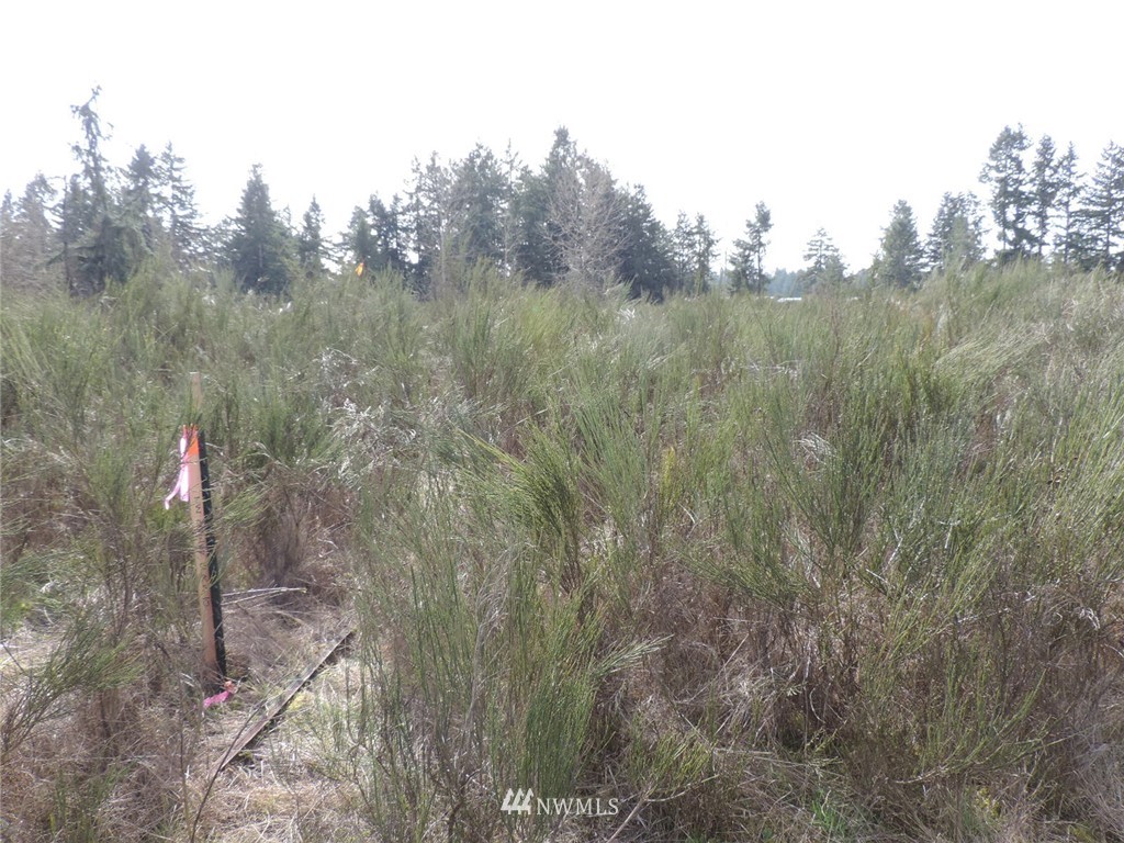 -xxx Grand Mound Way Southwest Rochester, WA 98579 - Photo 4 of 7