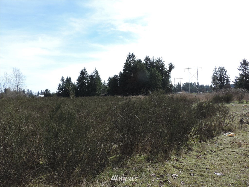 -xxx Grand Mound Way Southwest Rochester, WA 98579 - Photo 5 of 7