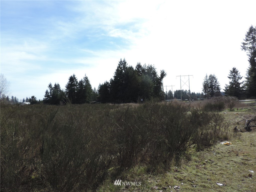 -xxx Grand Mound Way Southwest Rochester, WA 98579 - Photo 6 of 7