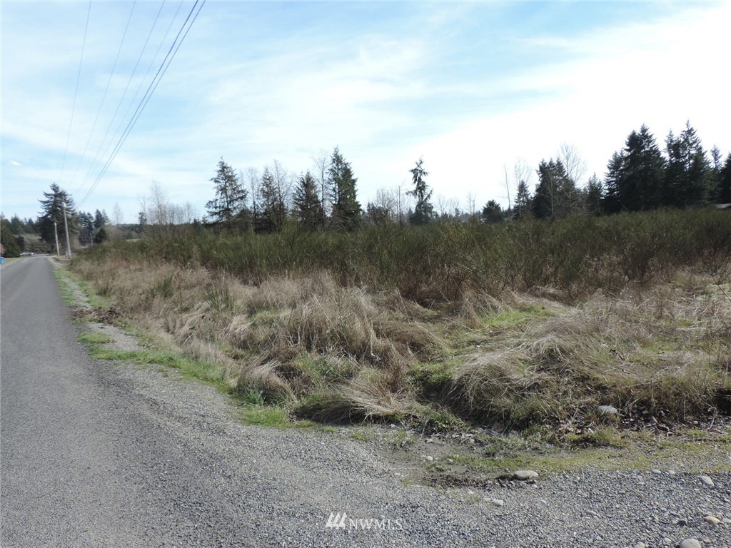 -xxx Grand Mound Way Southwest Rochester, WA 98579 - Photo 7 of 7