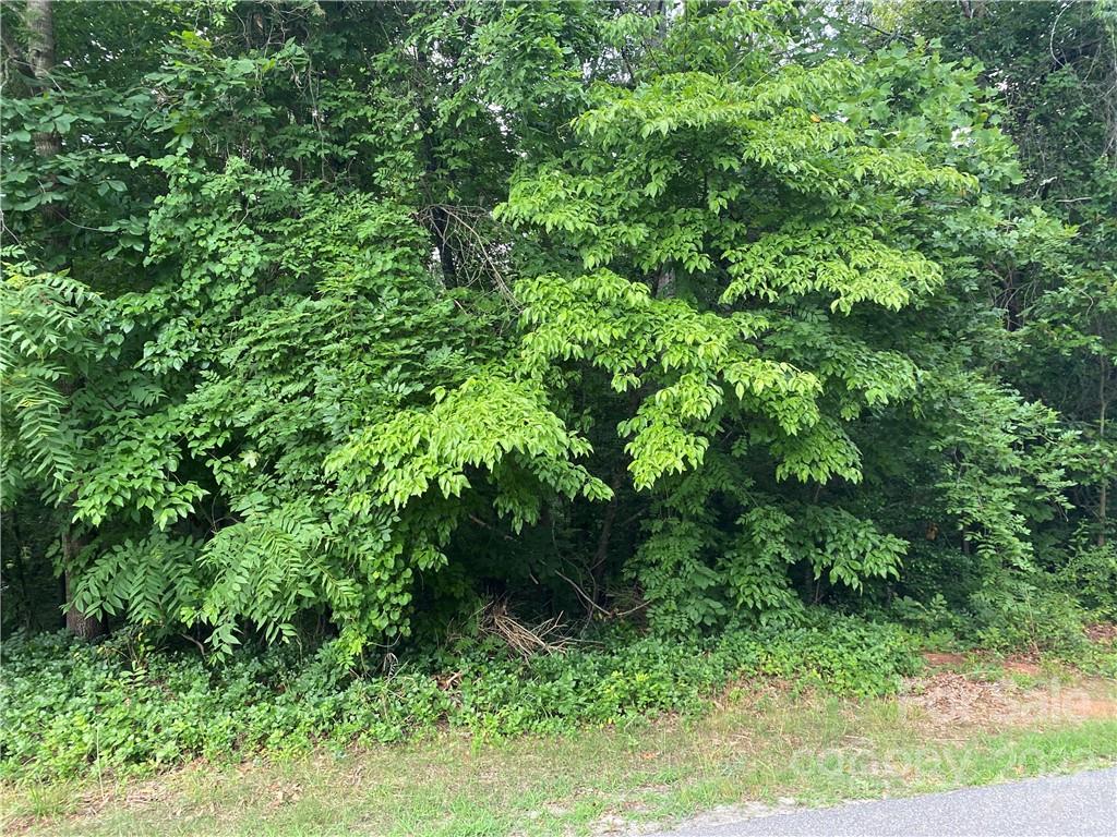 164 Riverdell Road, Unit 164 Hickory, NC 28601 - Photo 4 of 4 Gallery Image 4