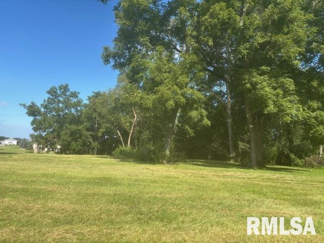 Lot 36 Ridgewood Road Milan, IL 61264 - Photo 3 of 6 Gallery Image 3