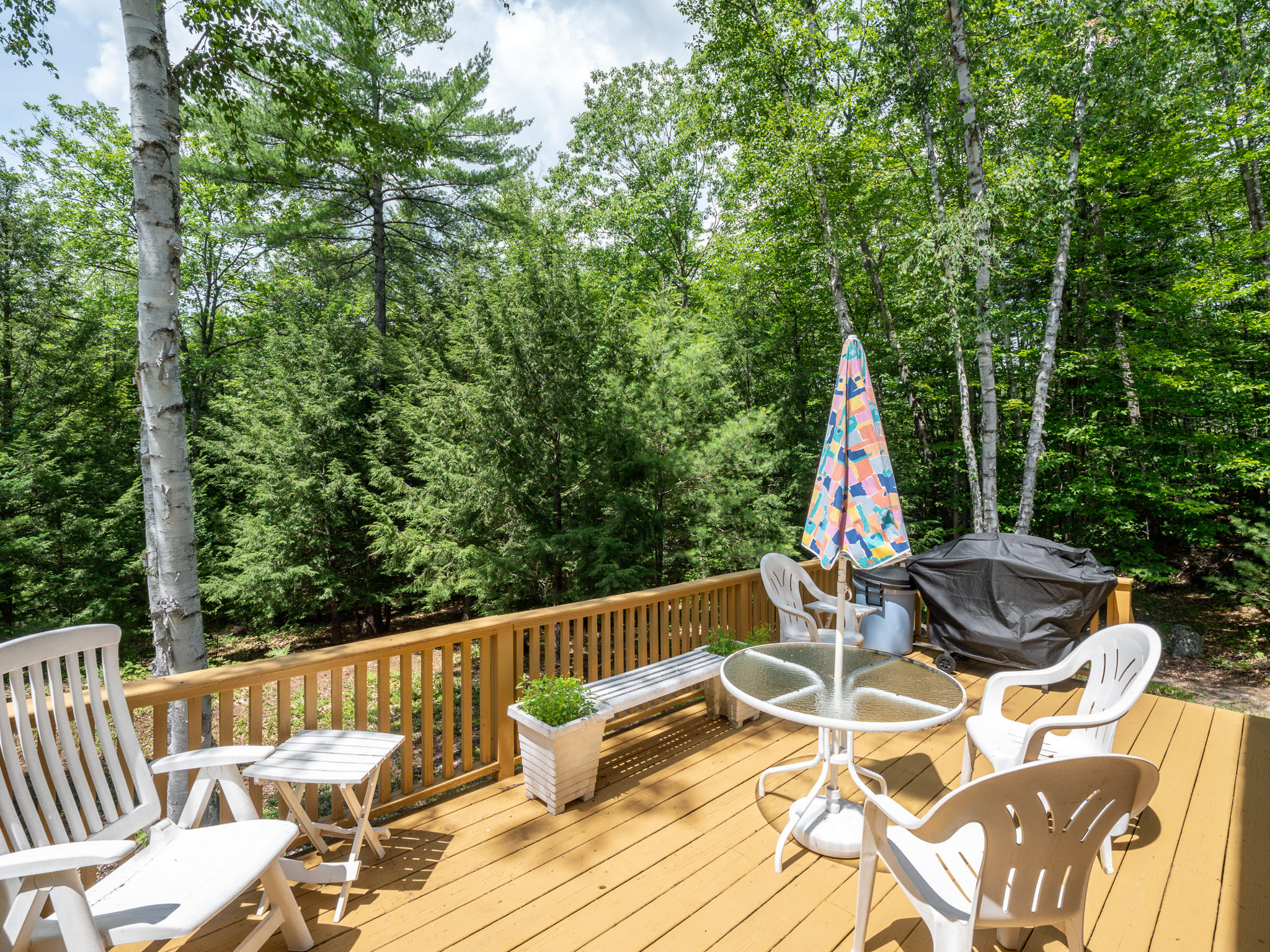 556 Knights Hill Road Sweden, ME 04040 - Photo 27 of 27 menextdeck1