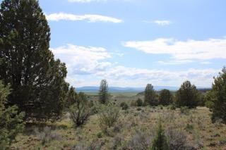 Deer Springs Road Beatty, OR 97621 - Photo 7 of 13 IMG_2560