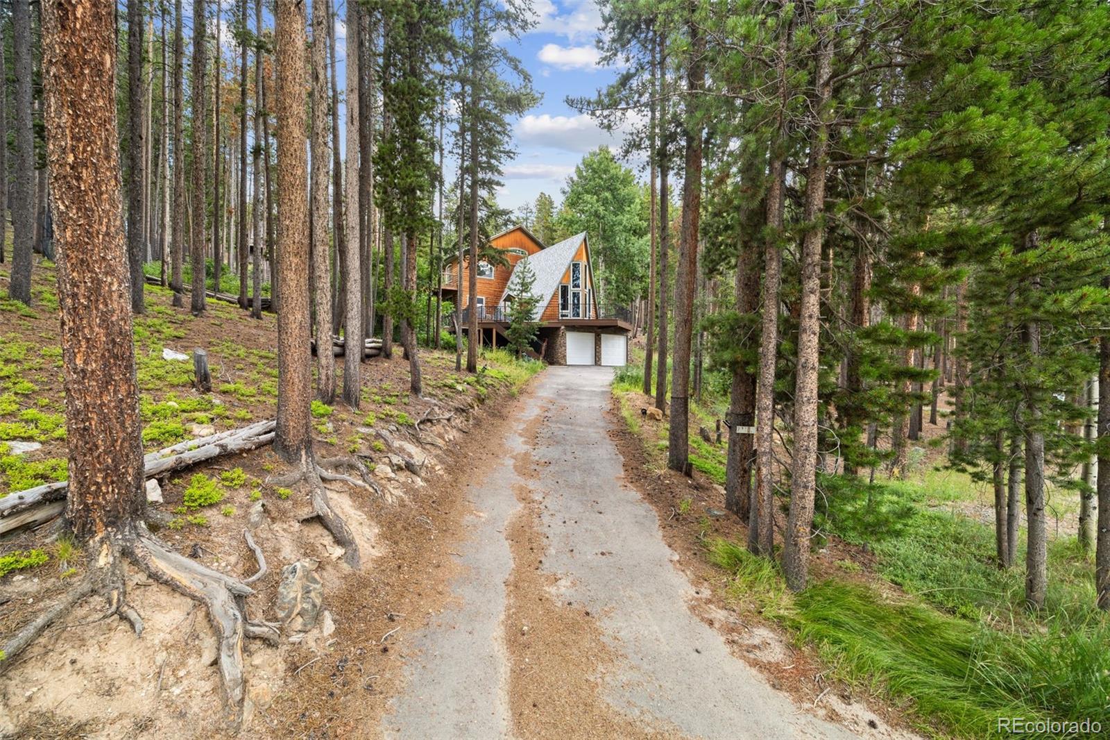 46 Apache Road Evergreen, CO 80439 - Photo 42 of 46 a view of a park with large trees