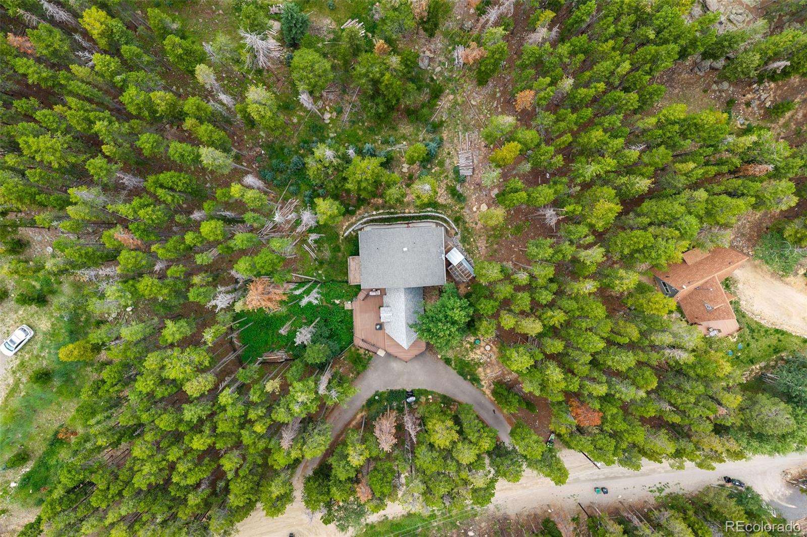 46 Apache Road Evergreen, CO 80439 - Photo 43 of 46 a picture of a tree