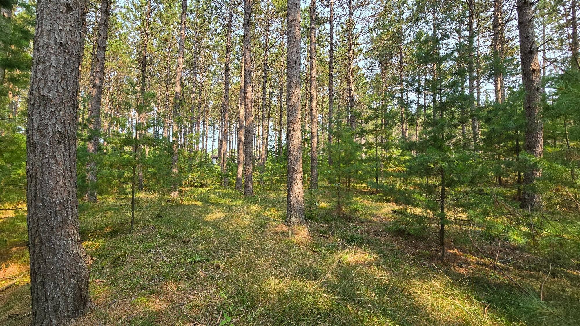 4007 Elsner Road Tomahawk, WI 54487 - Photo 42 of 44 Gallery Image 42