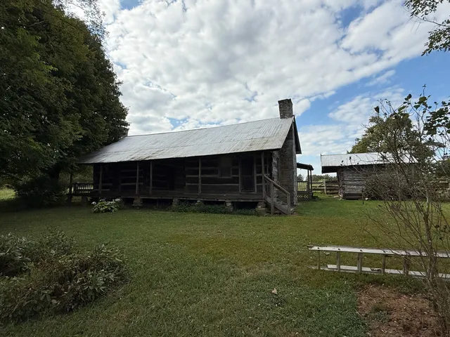 a view of a small yard in front of a house with a large tree