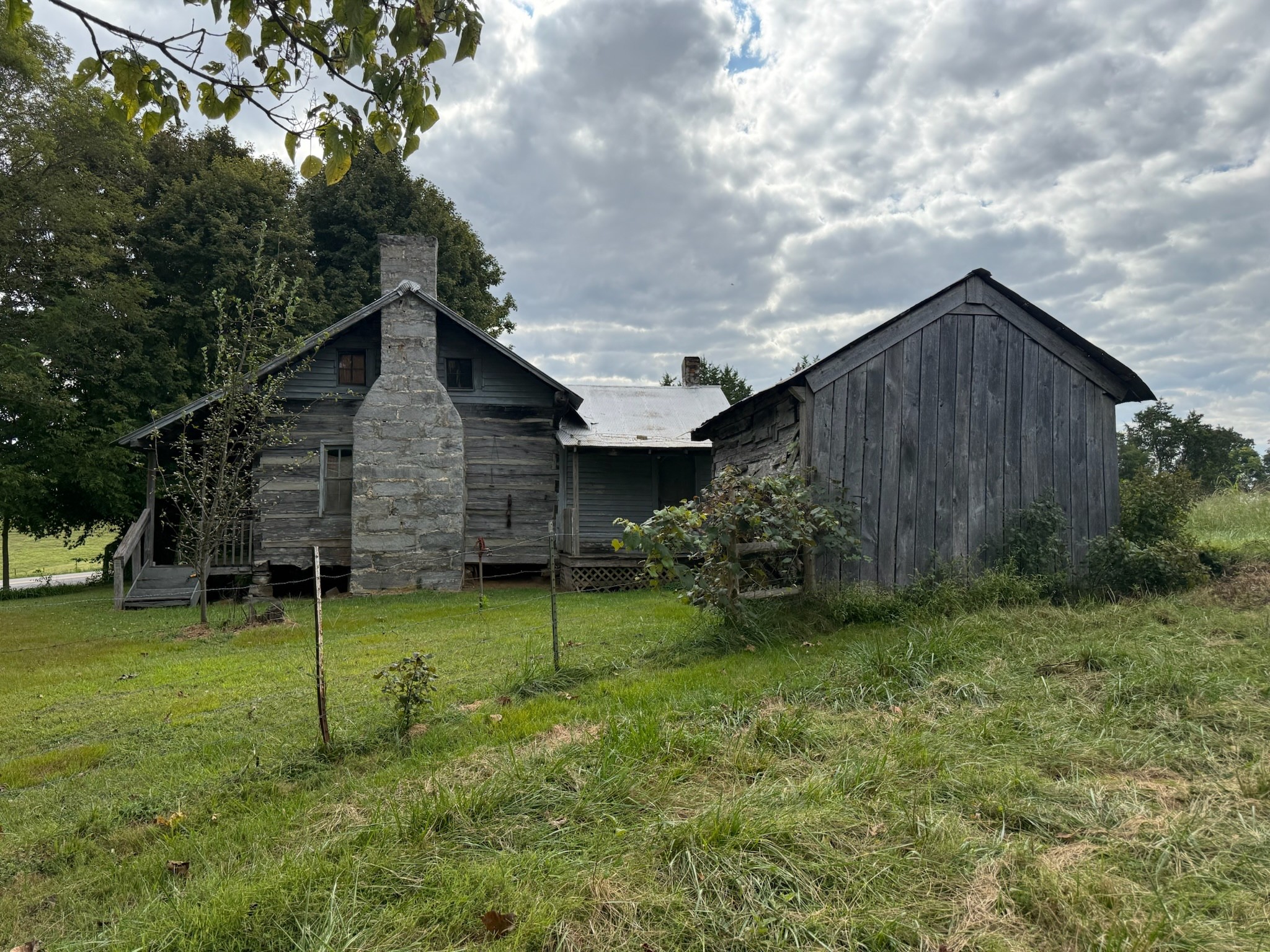 0 County House Road Tompkinsville, KY 42167 - Photo 26 of 37 a backyard of a house with plants and large tree
