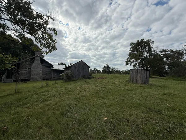 a view of a grassy field with trees