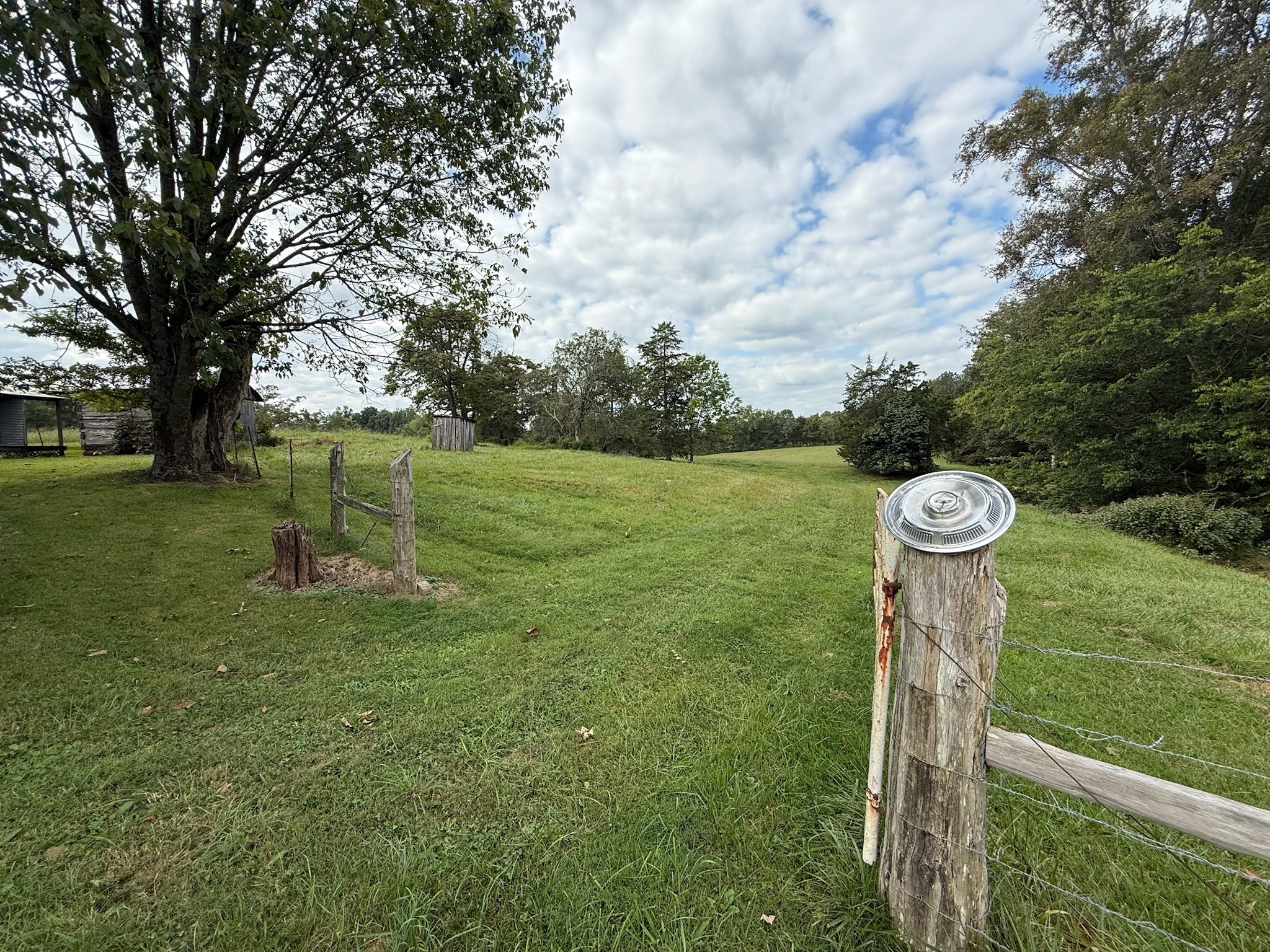 0 County House Road Tompkinsville, KY 42167 - Photo 28 of 37 a view of a park with large trees