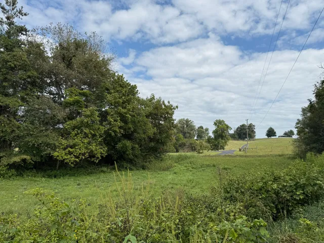 a view of a field with trees in background