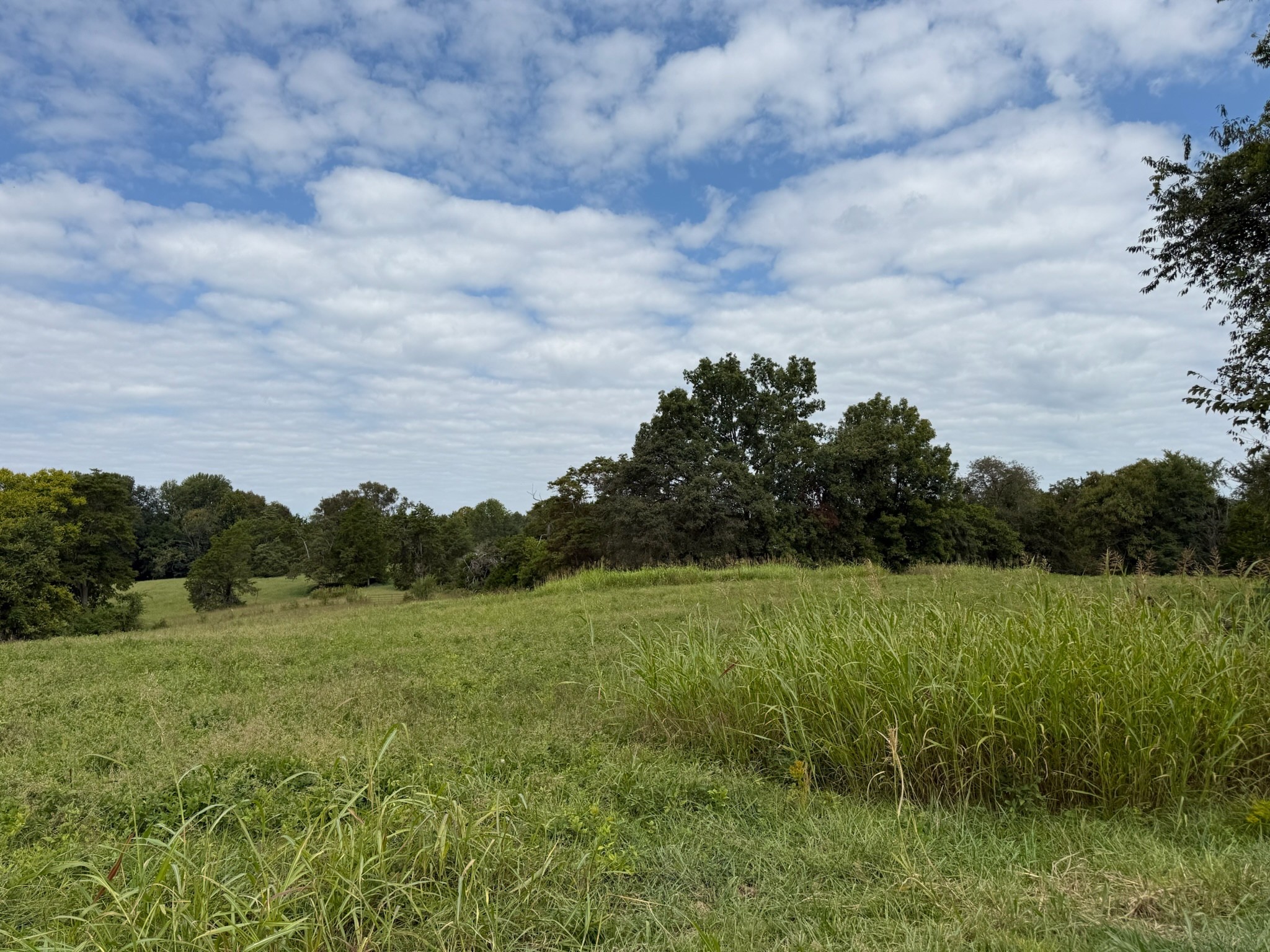0 County House Road Tompkinsville, KY 42167 - Photo 32 of 37 a view of a field with a tree in the background