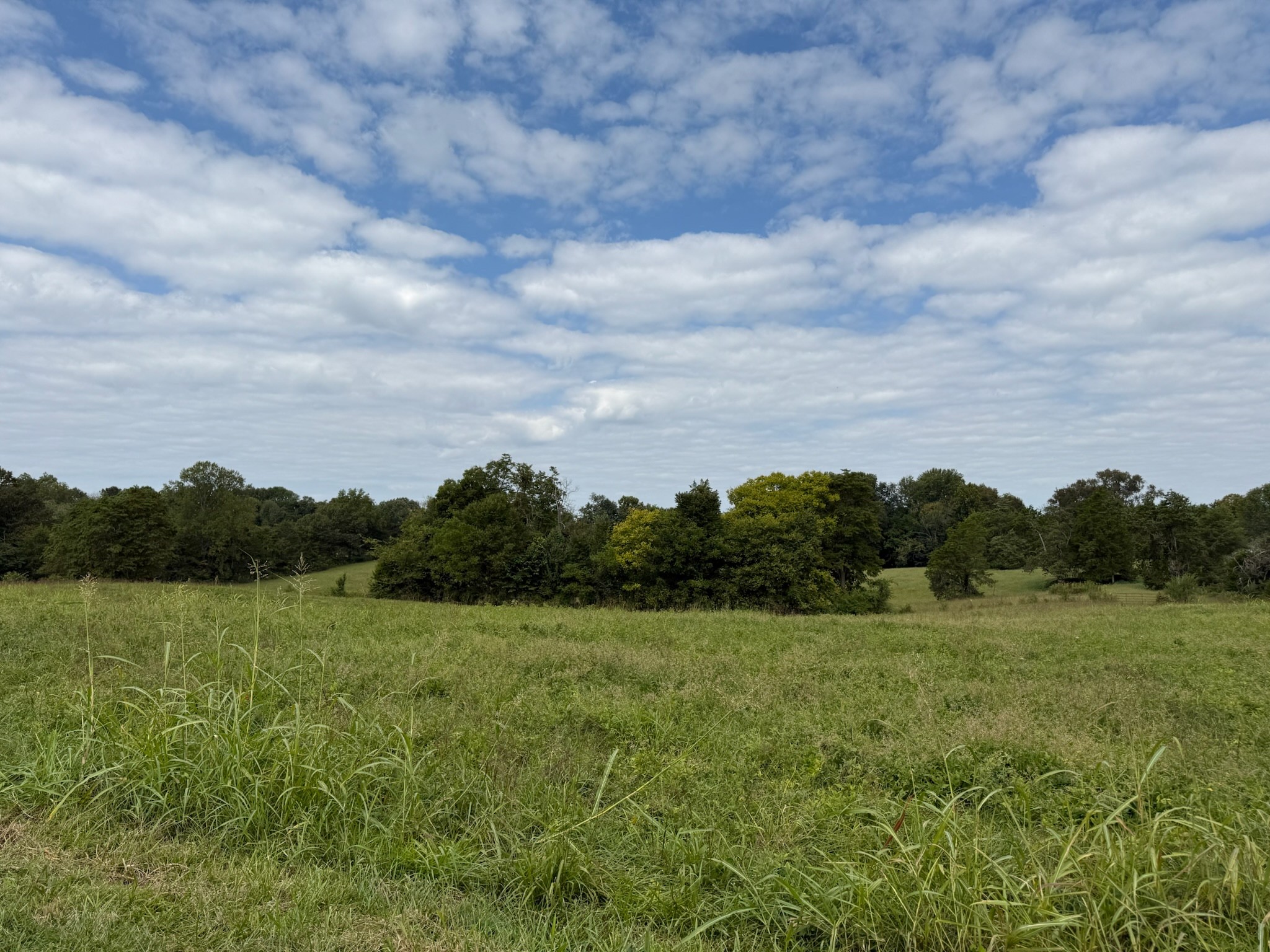 0 County House Road Tompkinsville, KY 42167 - Photo 33 of 37 a view of a field with trees in background