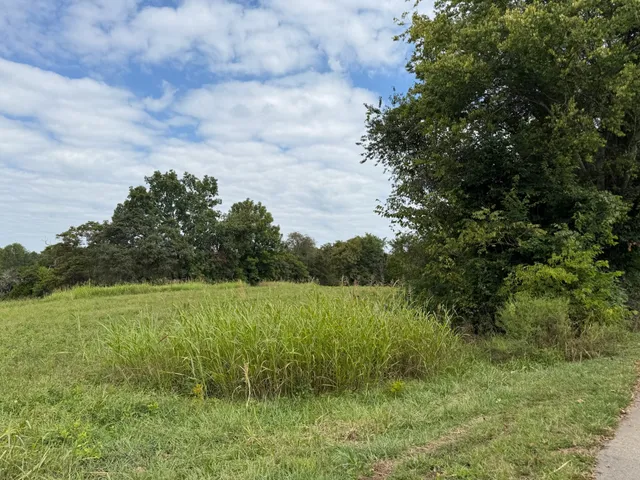a view of a field and mountains in background