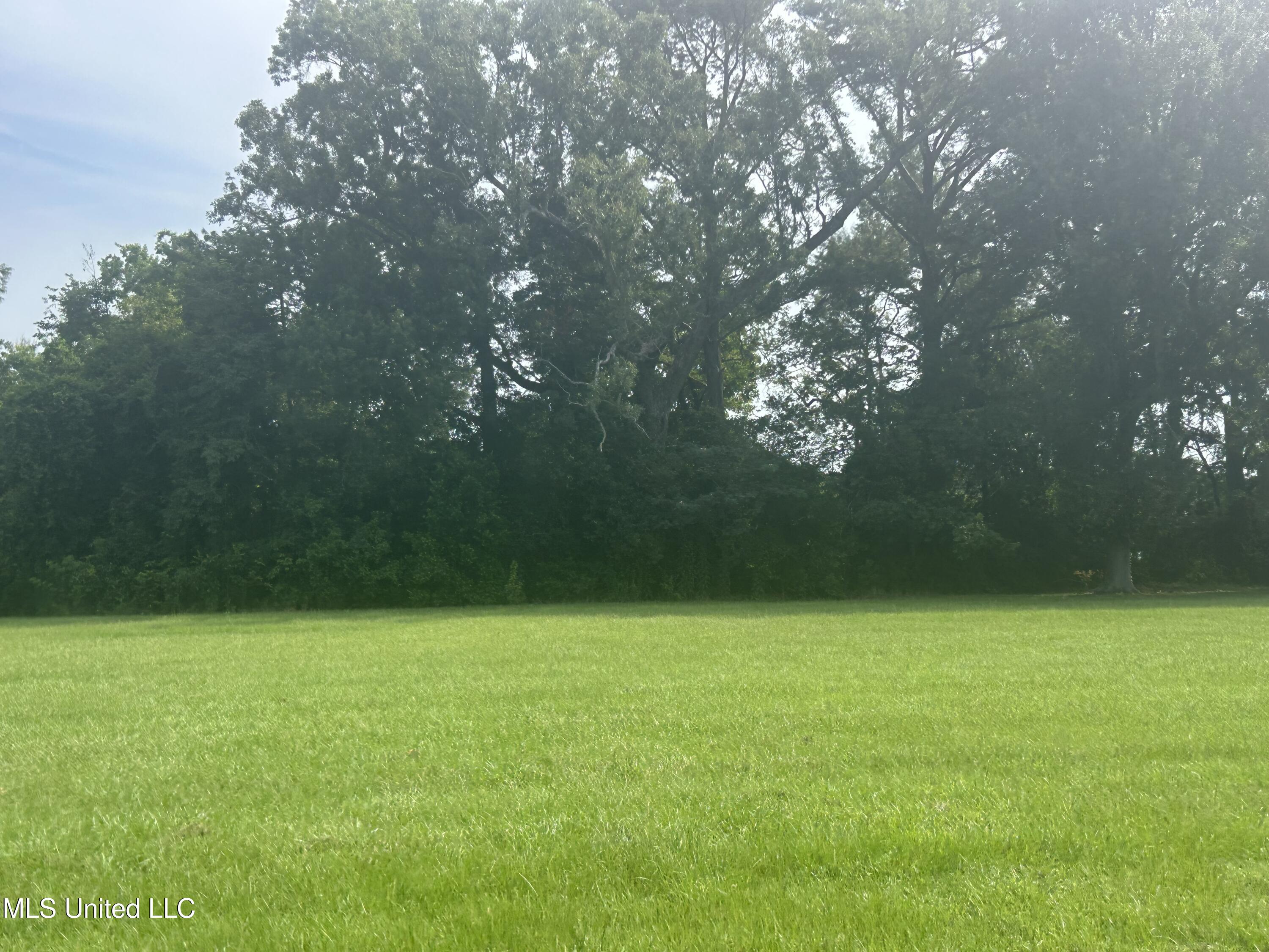 112 Philmore Burley Road Monterey, LA 71354 - Photo 2 of 10 IMG_1228