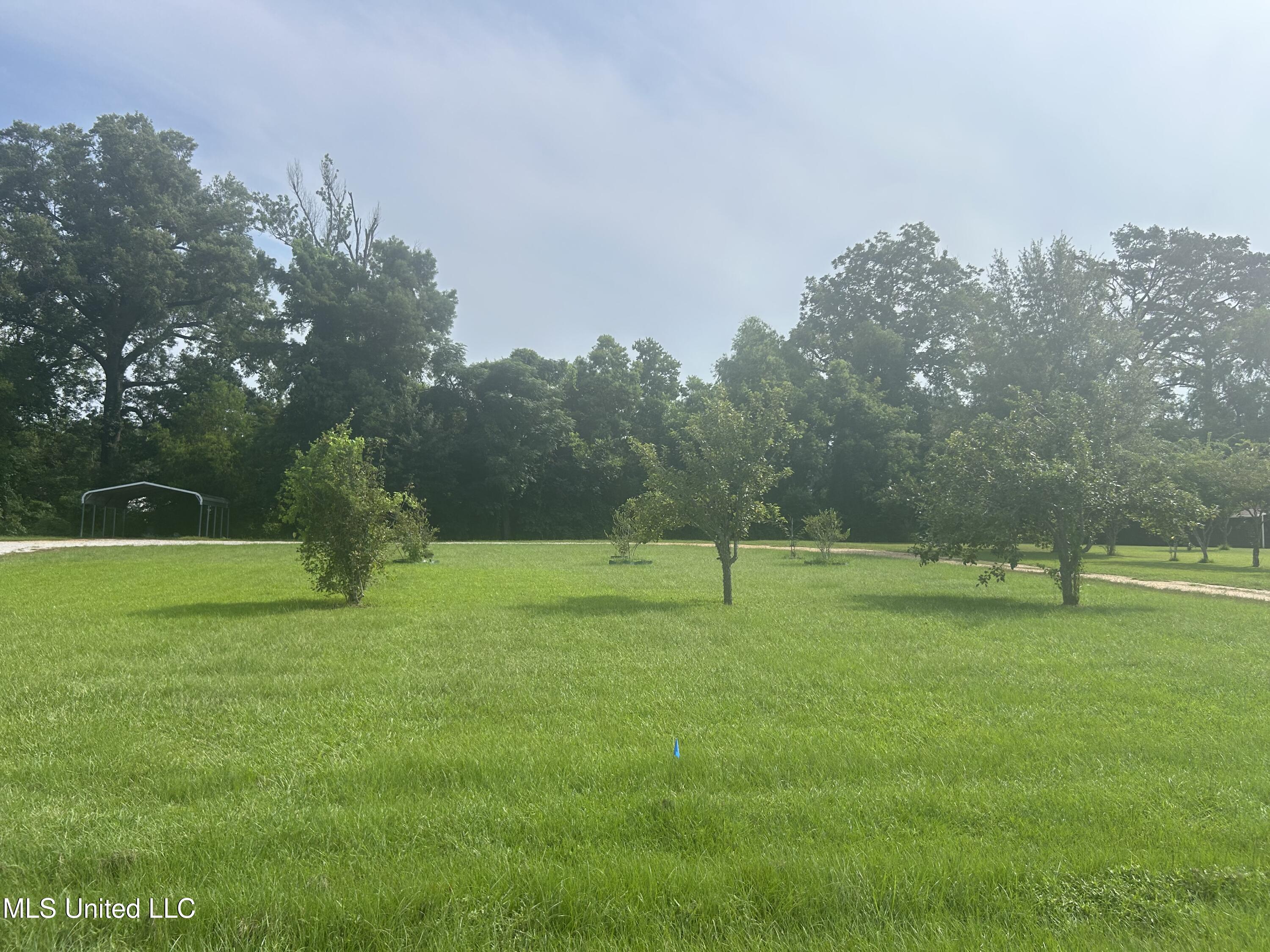 112 Philmore Burley Road Monterey, LA 71354 - Photo 6 of 10 IMG_1223