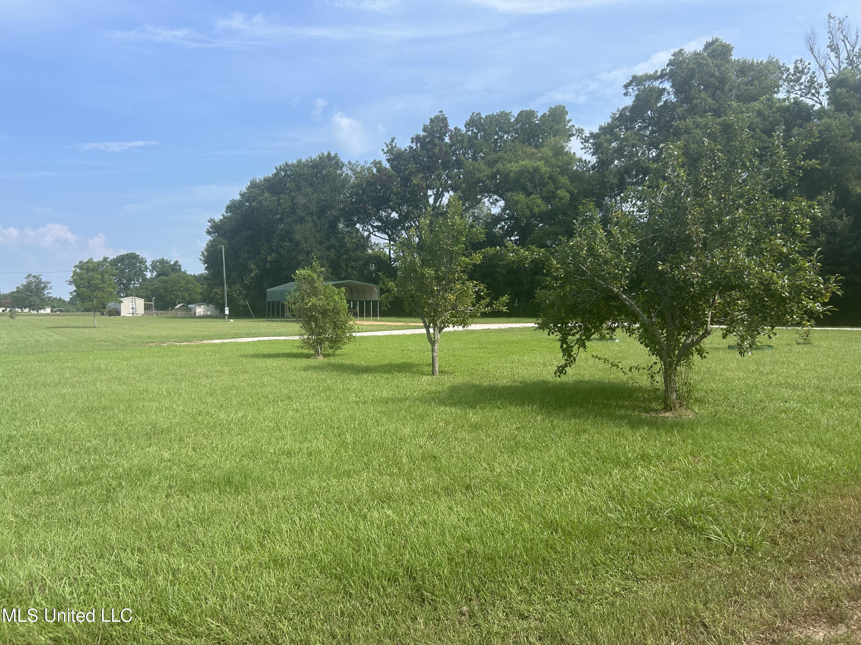 112 Philmore Burley Road Monterey, LA 71354 - Photo 7 of 10 IMG_1220