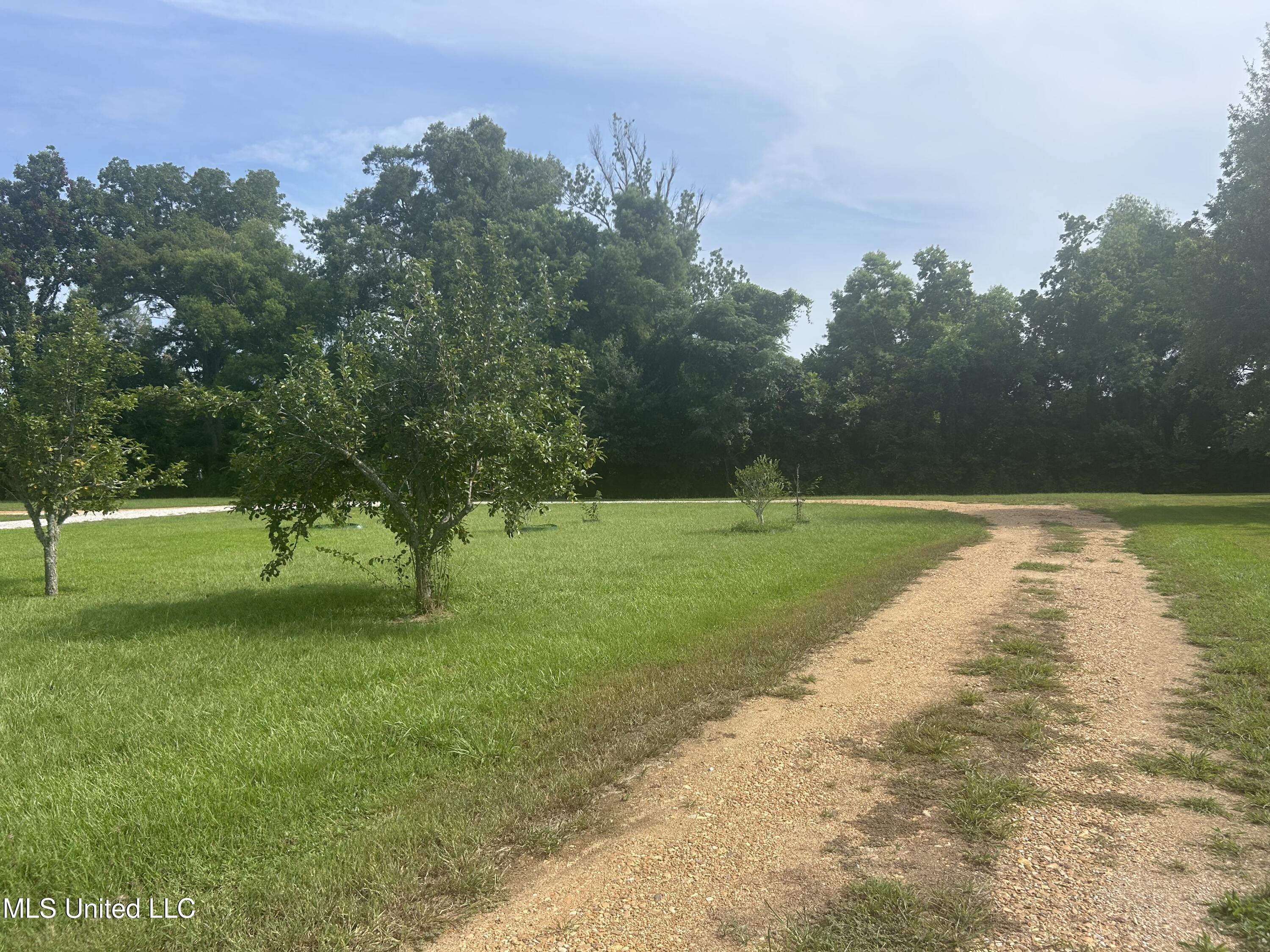 112 Philmore Burley Road Monterey, LA 71354 - Photo 9 of 10 IMG_1219