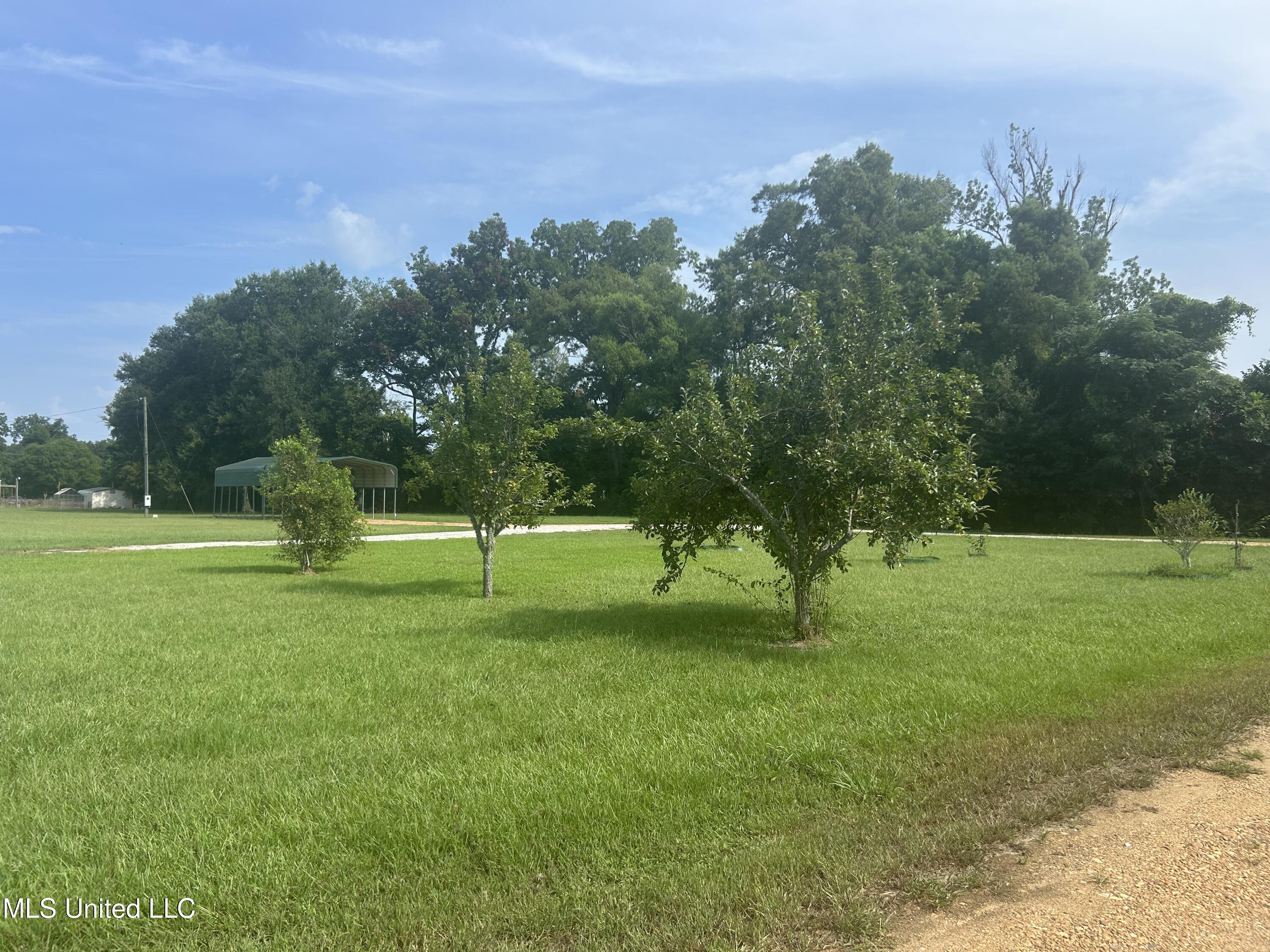 112 Philmore Burley Road Monterey, LA 71354 - Photo 10 of 10 IMG_1218