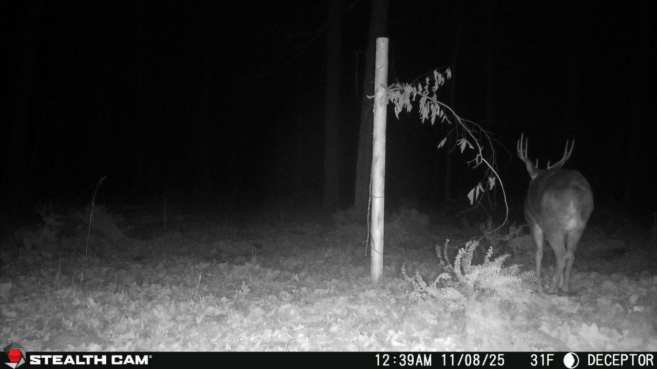 Springbrook Road Tigerton, WI 54486 - Photo 5 of 56