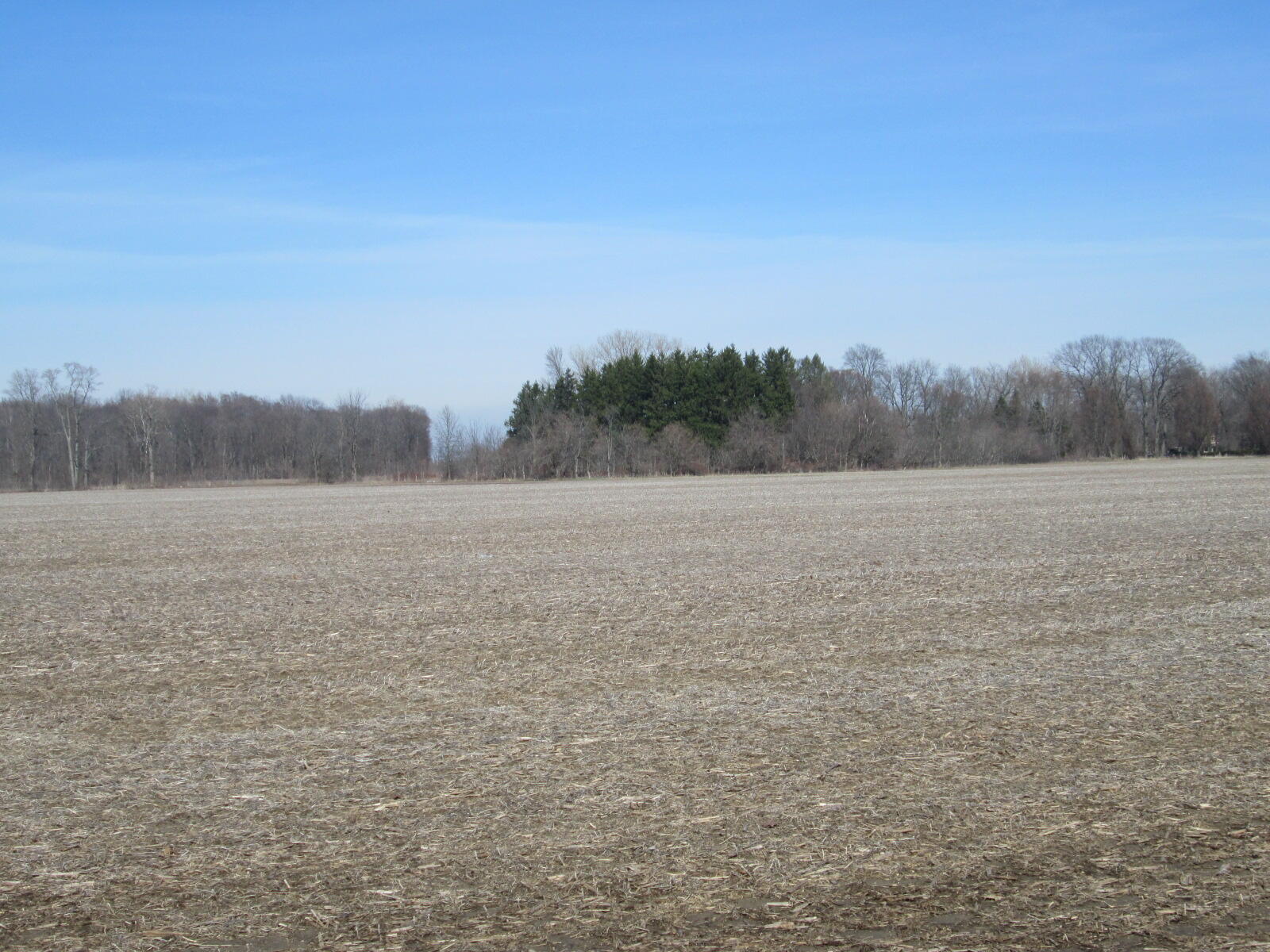 V/l West Lemon Creek Road, Unit 4 Baroda, MI 49101 - Photo 2 of 8 IMG_6044