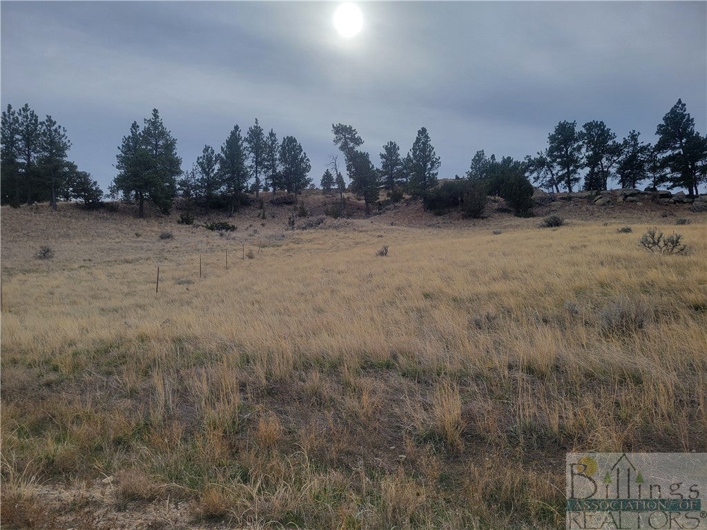 31 East Sunshine Road Roundup, MT 59072 - Photo 1 of 1 Gallery Image 1