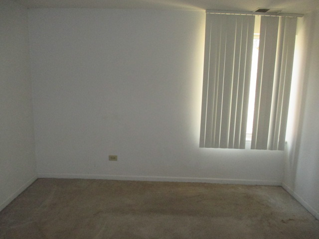 5850 Forest View Road, Unit C Lisle, IL 60532 - Photo 4 of 5