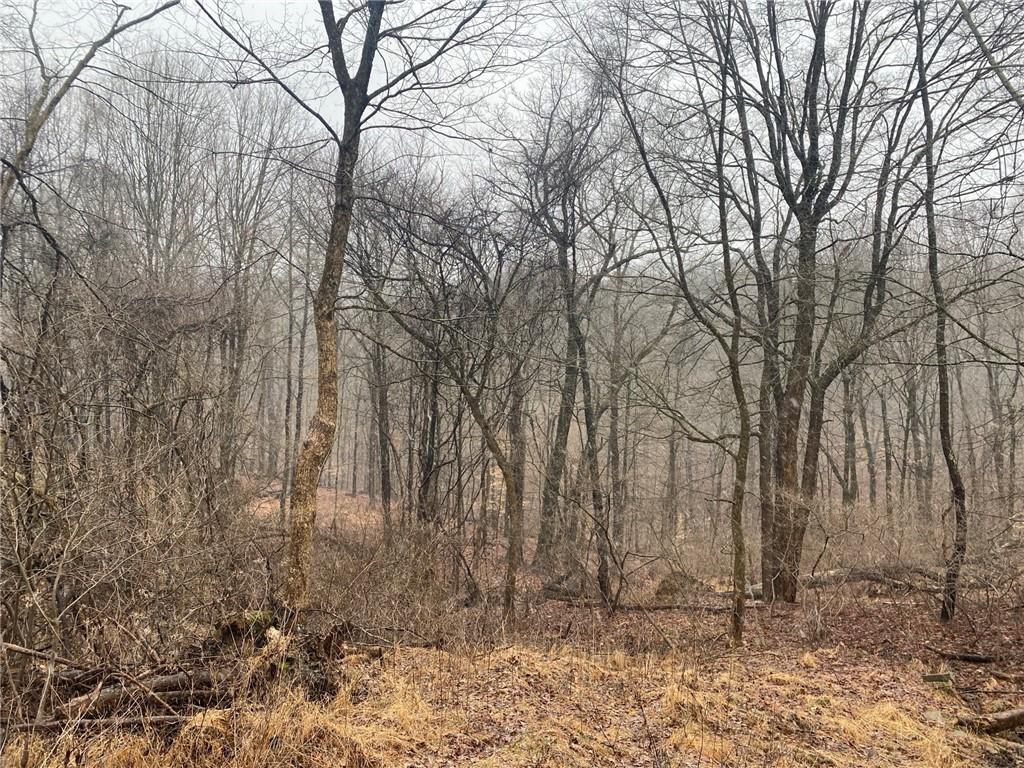 - Old Ramsey Road Monroeville, PA 15146 - Photo 3 of 8 a backyard of a house with lots of green space