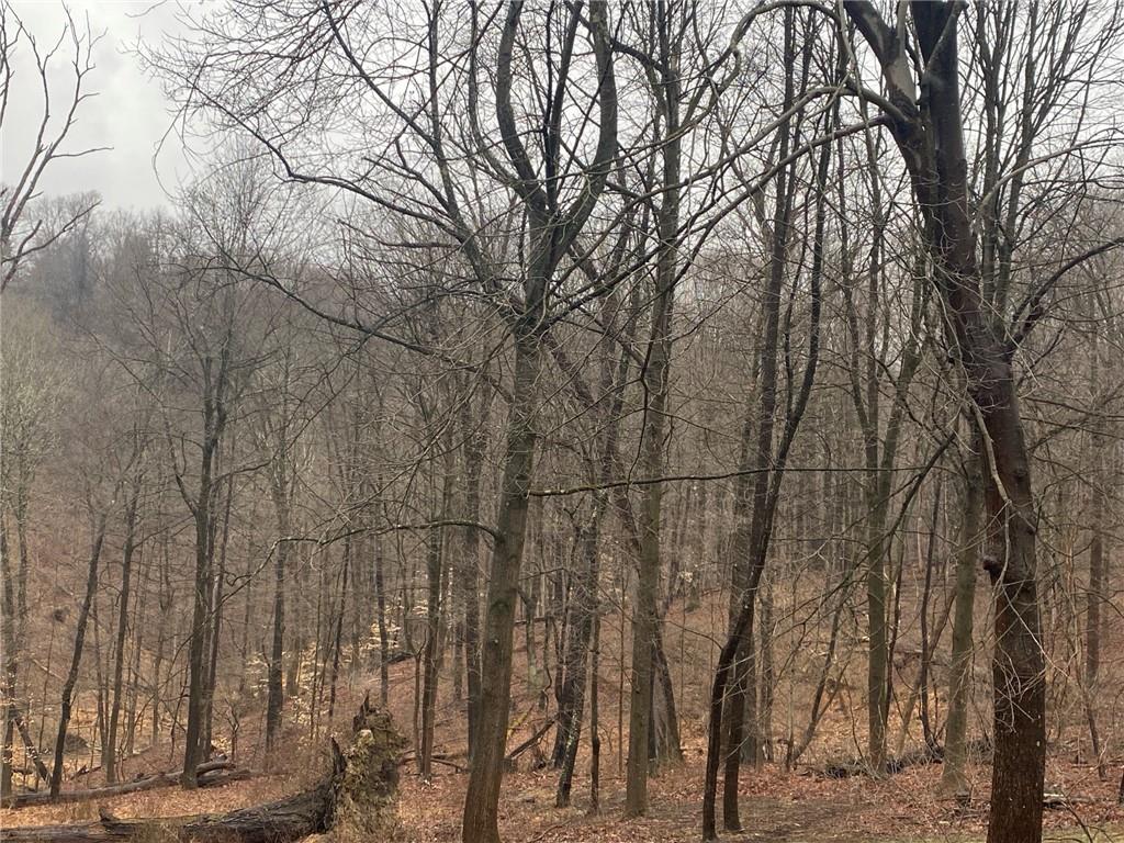 - Old Ramsey Road Monroeville, PA 15146 - Photo 4 of 8 a backyard of a house with lots of green space