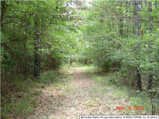 0 Homer Road Liberty, MS 39645 - Photo 2 of 3 Gallery Image 2