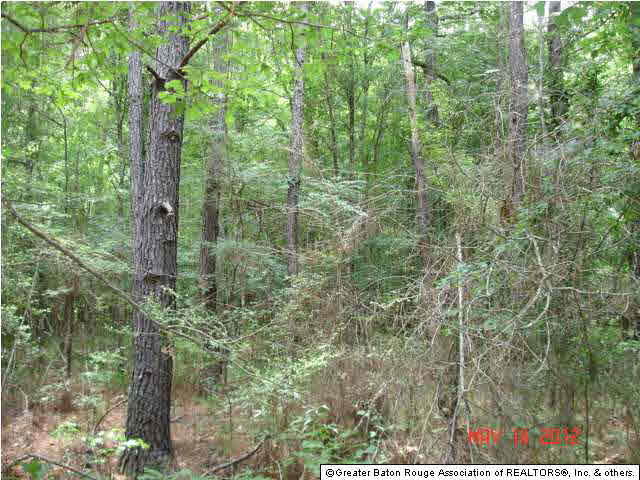 0 Homer Road Liberty, MS 39645 - Photo 3 of 3 Gallery Image 3