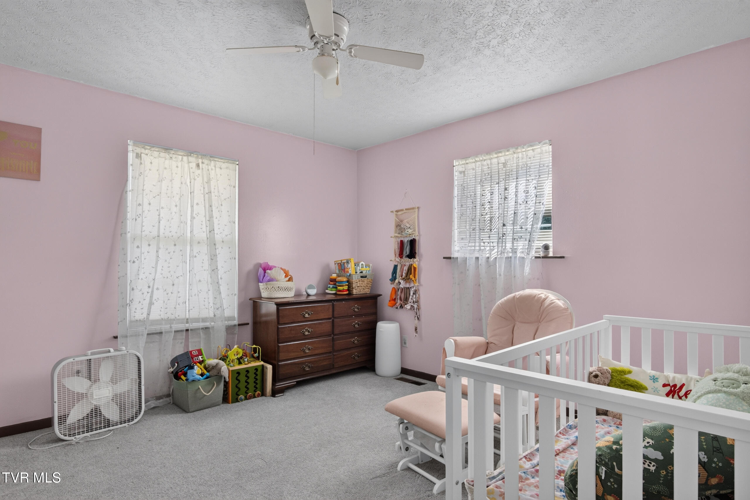 6196 Poplar Springs Road Greeneville, TN 37743 - Photo 18 of 59 DSC00790