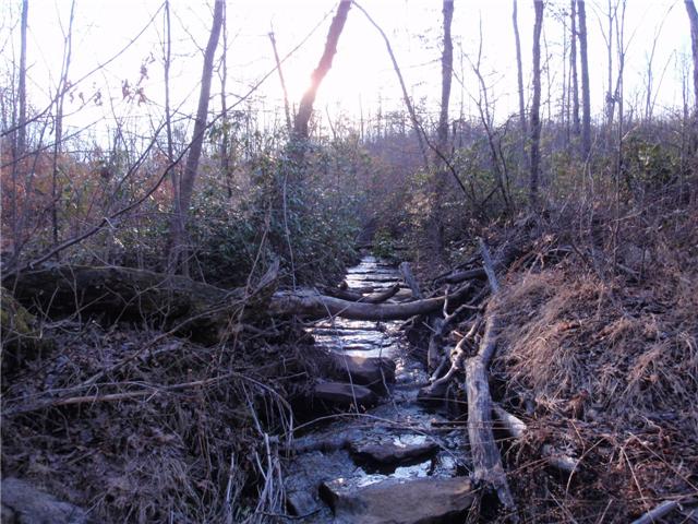 0 Jernigan Road Monteagle, TN 37356 - Photo 2 of 4 Mountain stream below pond, rock bottom in stream.