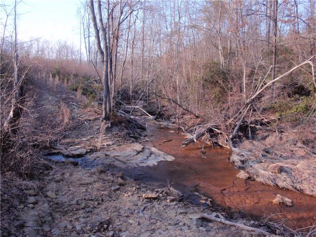 0 Jernigan Road Monteagle, TN 37356 - Photo 4 of 4 Larger stream on the bacl side of the property. Lots of wildlife and tracks left in the sand.