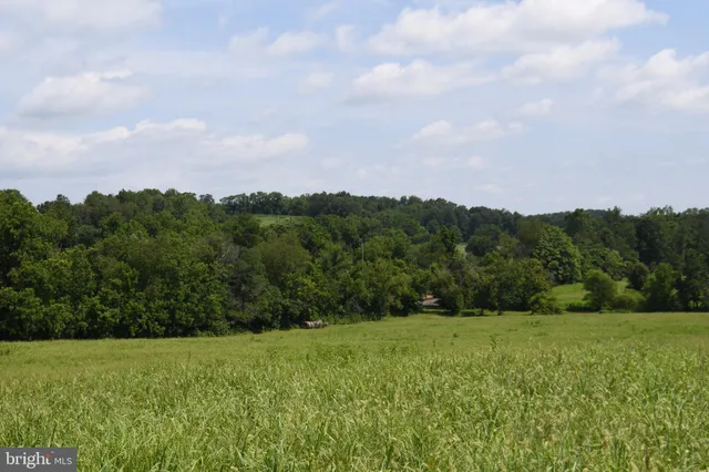 a view of a lake with a mountain in the background