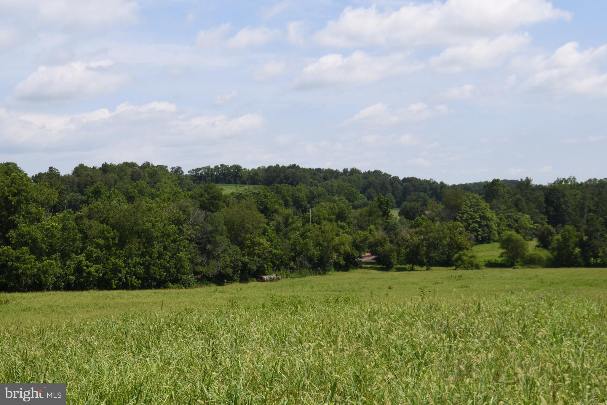 2919 Rokeby Road Delaplane, VA 20144 - Photo 14 of 40