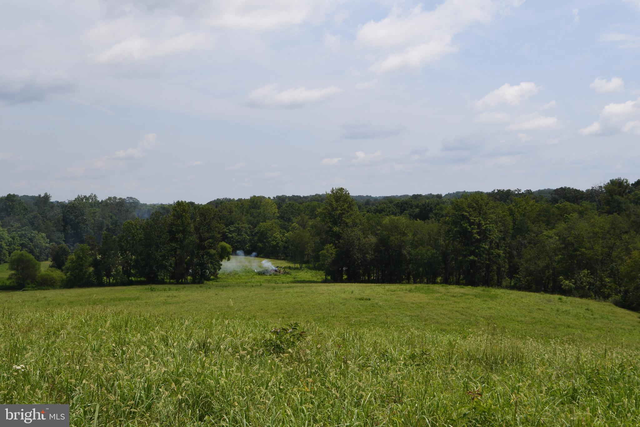 2919 Rokeby Road Delaplane, VA 20144 - Photo 15 of 40