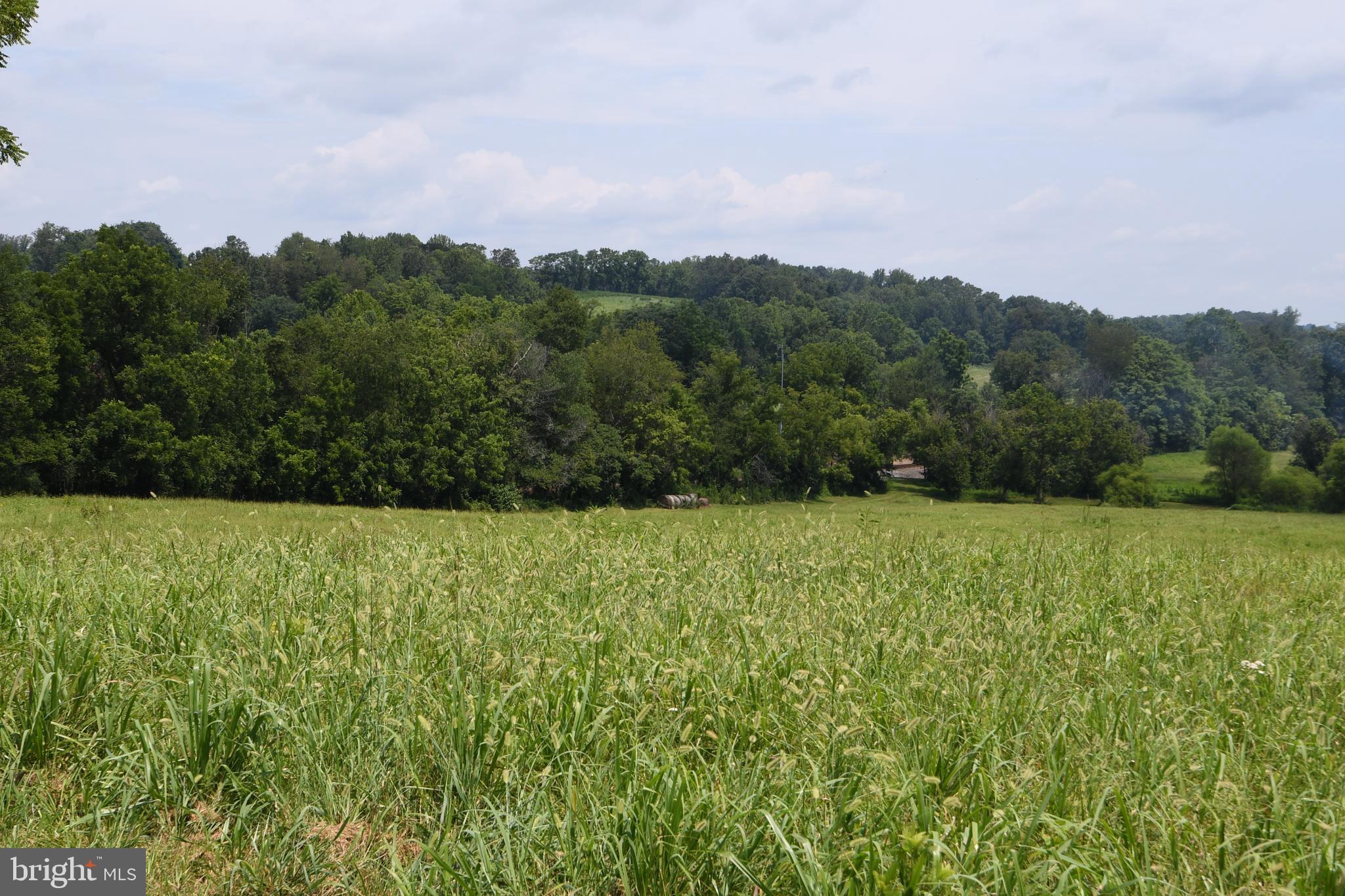 2919 Rokeby Road Delaplane, VA 20144 - Photo 16 of 40 a view of a field with an ocean