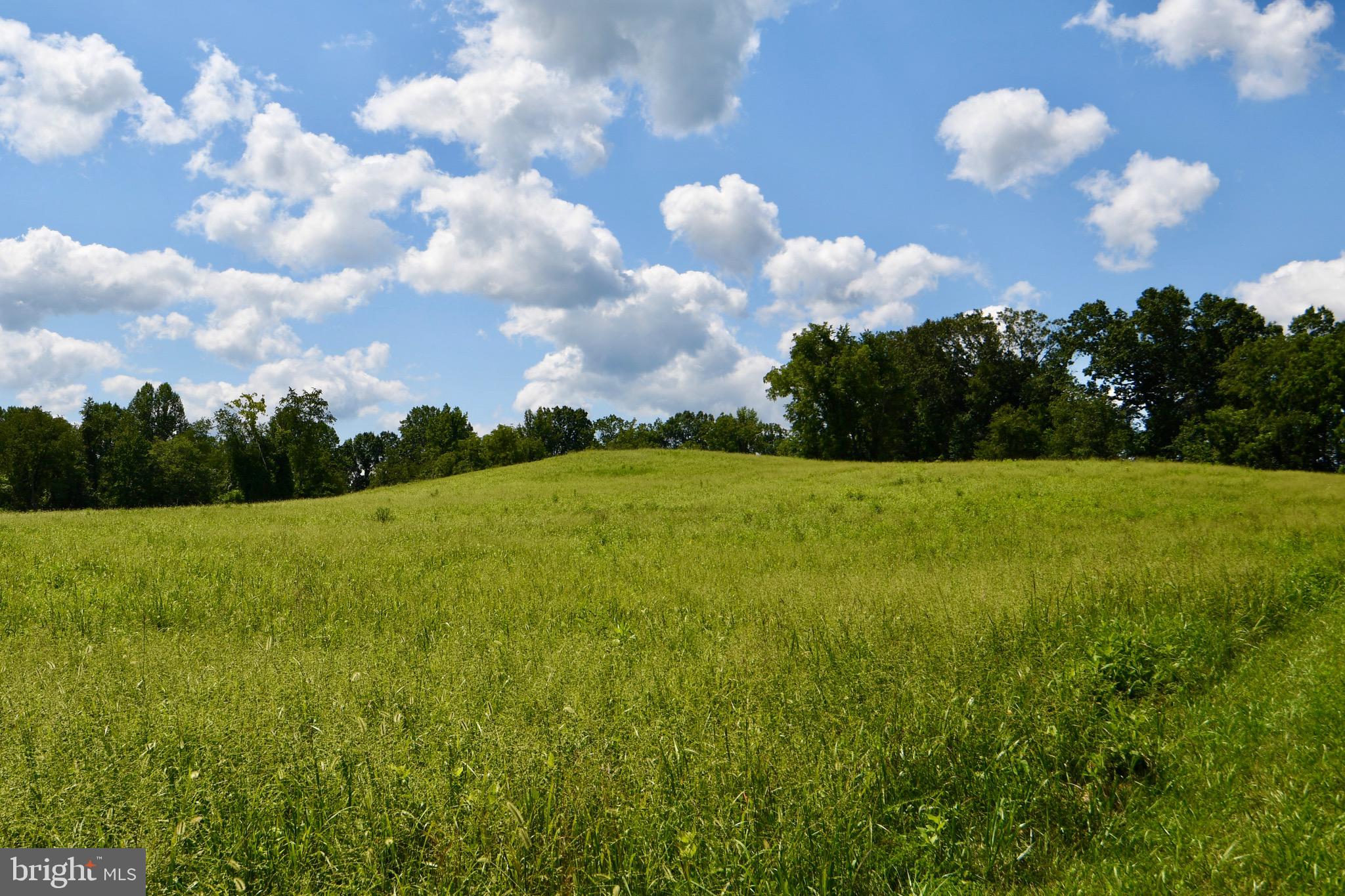 2919 Rokeby Road Delaplane, VA 20144 - Photo 20 of 40 a view of a big yard with swimming pool and green space